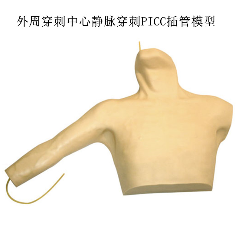 外周穿刺中心静脉穿刺插管模型 PICC插管模型