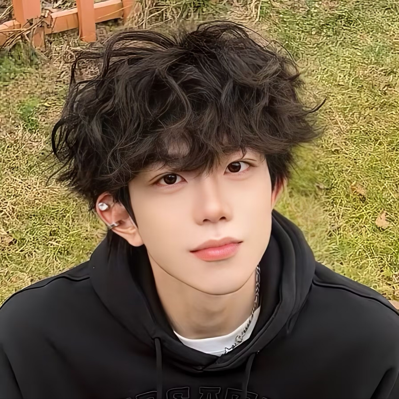 Wool Curly Wig for Men, Short Curly Hair, Korean Style, Handsome and Fashionable, Leslie Curls, Student Daily Wear, Fluffy and Natural Full Head Wig