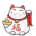 九华山电子数码制品