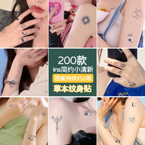 Small pattern tattooed sticker waterproof female persistent finger lock bones in advanced sense emulated juice herbals semi-permanent