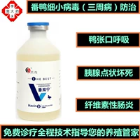 Фан Шуаннинг