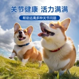 【Tmall u Сначала】 Чонероитин собачья таблетки кальция для связи и пополнить кальций складывание домашних животных, уход за кошками, совместные сокровища