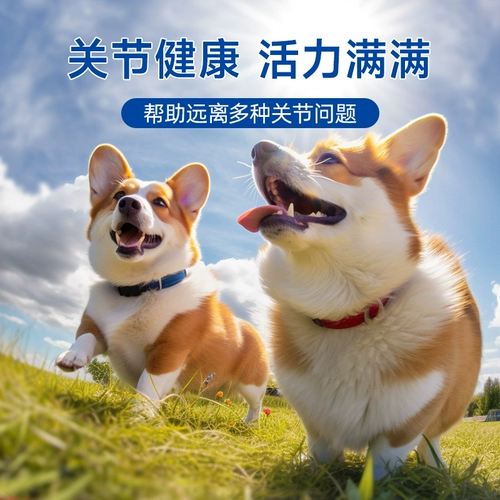 【Tmall u Сначала】 Чонероитин собачья таблетки кальция для связи и пополнить кальций складывание домашних животных, уход за кошками, совместные сокровища