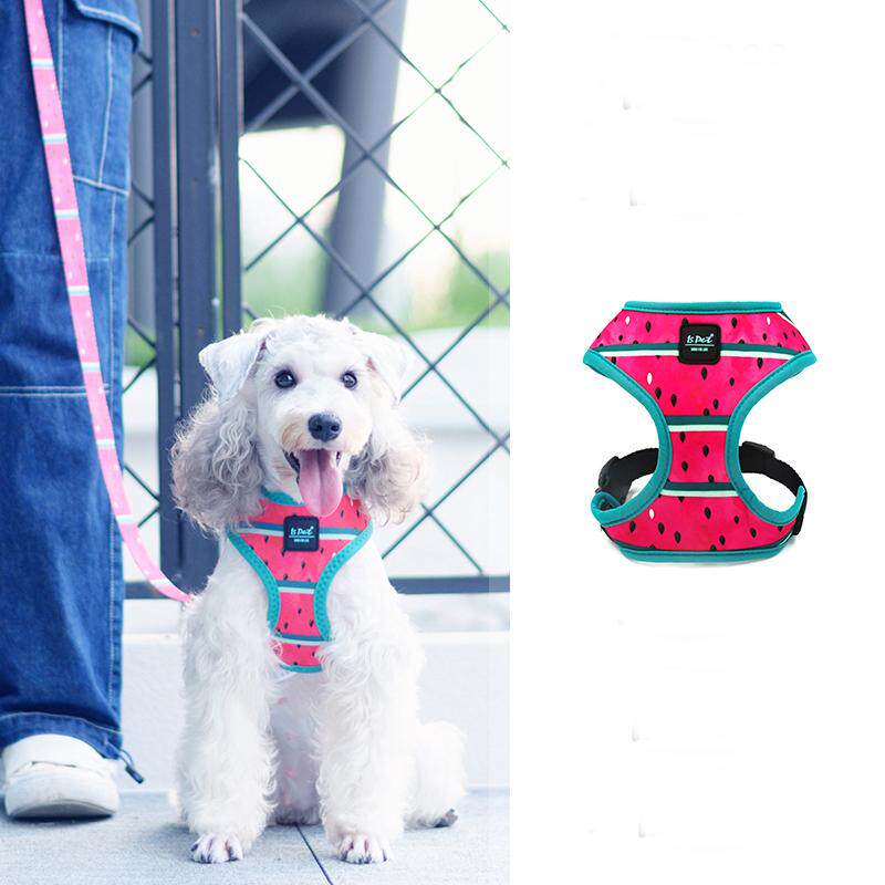 IS PET Basic Harness Dog Leash Small Dog Dog Leash Teddy Dog Vest Style Dog Walking Leash