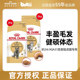 Boqi.com Pet Cat Food Royal bs34 British Shorthair Cat Adult Cat Special Full Price Food 2kg Nutritional Cat Main Food