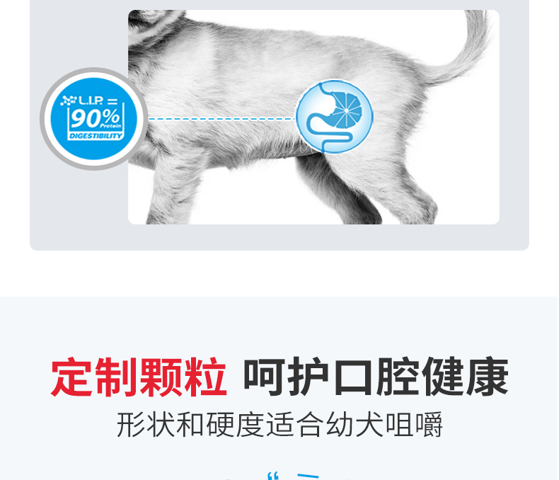 Poccinet Chó Hoàng gia Pháp Thực phẩm Chó con Chó nhỏ Chó con Thức ăn 2kg Teddy Dog Food General Puppy Dog Food - Chó Staples hạt zenith