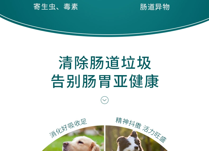 波奇 网 Yi Qin Duo Chó mèo Kete dạ dày kho báu bột sinh học điều hòa dạ dày 5g * 10 gói men vi sinh - Cat / Dog Health bổ sung