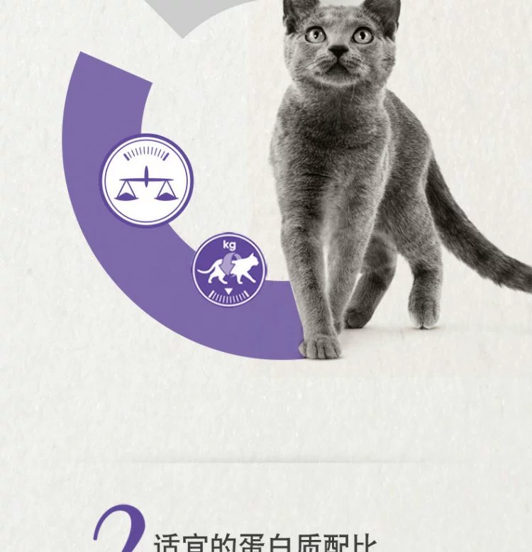 Boqi Net Royal Cat Food Chăm sóc tiệt trùng Thức ăn cho mèo SA37 / 0,4kg * 3 Thức ăn cho mèo ngắn của Anh 25 Tỉnh - Cat Staples hạt tốt cho mèo