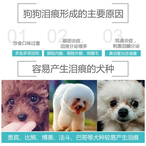 Lei Mi Высокая жизнеспособность Thai Tears Care Teddy Puzzle щенки GM Full -Price Full -Price Функция собаки 1,5 кг