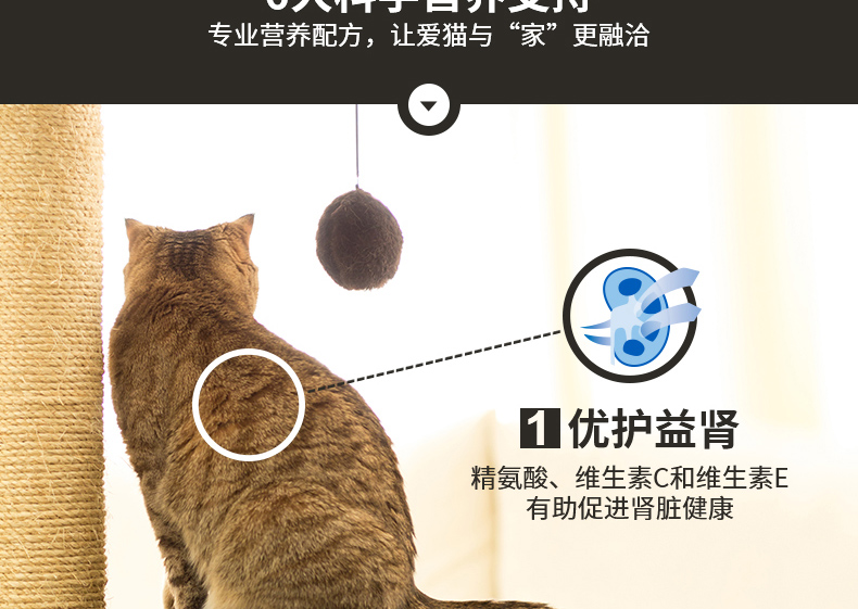 Pocci net vương miện có thể mèo thực phẩm trong nhà thức ăn cho mèo giá đầy đủ thức ăn cho mèo 7 kg thức ăn cho mèo vào cat cat hạt chính 25 tỉnh hạt meo