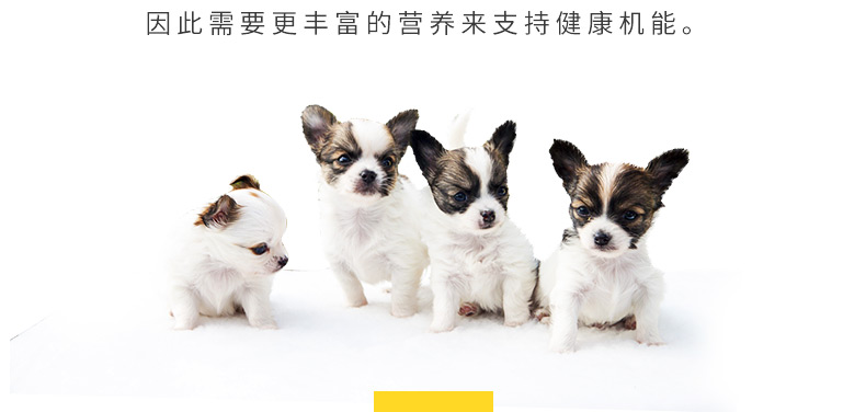 波奇 网 Baolu thức ăn cho chó thức ăn chủ yếu cho chó thức ăn cỡ trung bình nhỏ phổ thông Teddy thịt bò hương vị 1,8kg thức ăn chủ yếu cho chó - Chó Staples thức ăn của chó