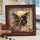 真蝴蝶标本diy手工材料包机械朋克风相框摆件装饰画创意生日礼物
