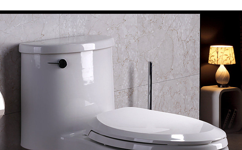 5171-toilet_05.jpg