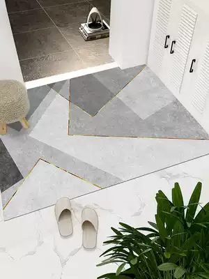 Door mat Nordic floor mat entrance entrance entrance entrance pvc foot mat can be cut carpet Net red home disposable disposable