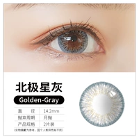 Golden-Gray (Arctic Star Grey)