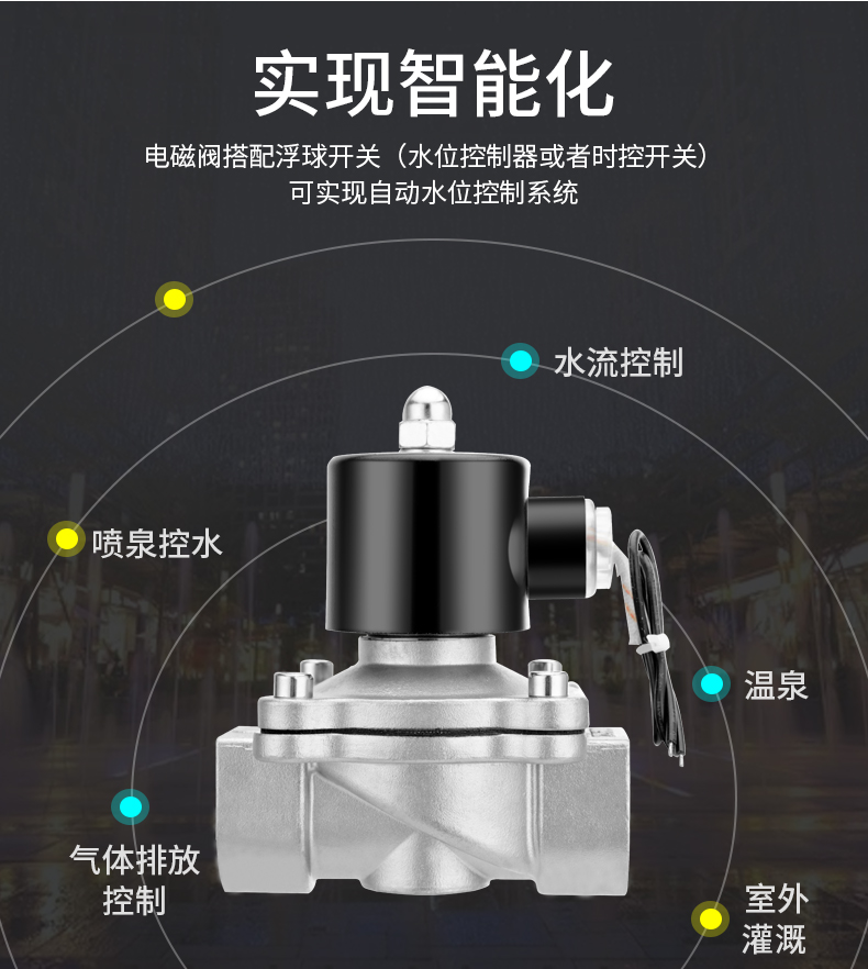 Соленоидный клапан 304不锈钢2w丝口电磁阀常闭型水阀开关阀ac220vdc24vdc12v4分6分 OTHER