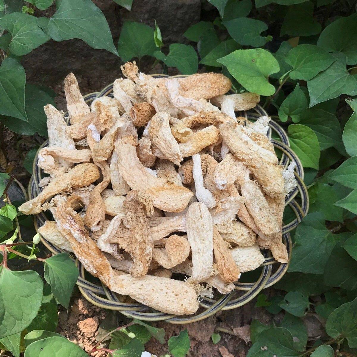 纯杆竹荪500g!无硫无裙天然竹孙,煲汤火锅必备!这波真的香到邻居来敲门!-竹荪-淘宝好物网