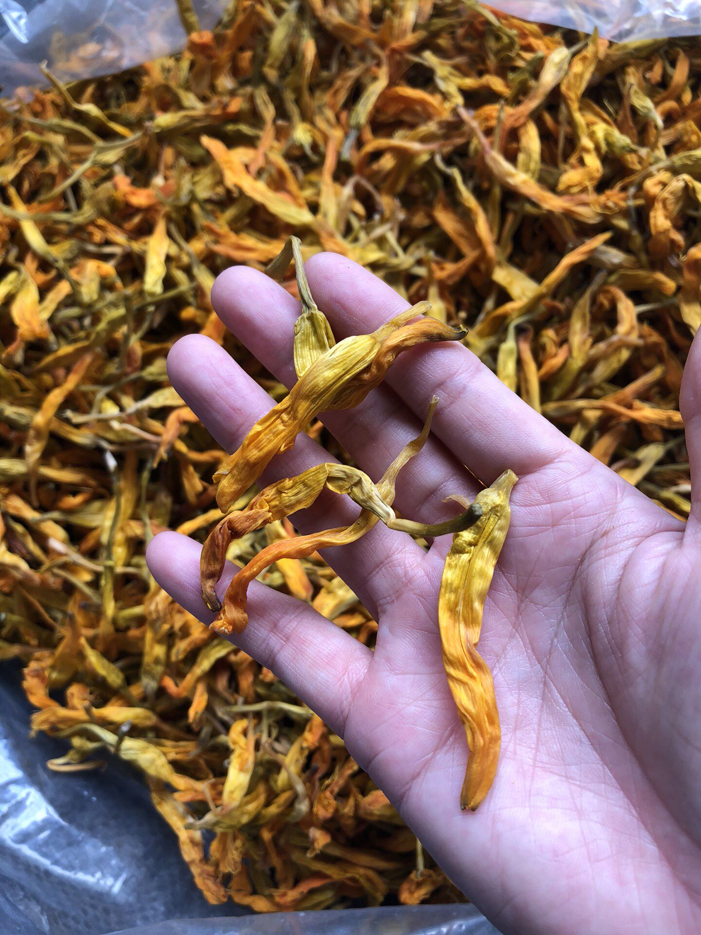 Fresh No Sulphur Yellow Flower Vegetable Dry Goods Farmhouse Native Taiwan Variety Special Class Gold Needle Flower Vegetable Soup 250g Commercial