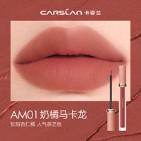 AM01