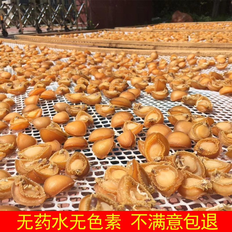 Abalone Dry Wild Abalone Dry Paparazzi Soup Non Ready-to-eat Fresh Seafood Products Dry Goods Tergrade Big Dried Abalone 100g