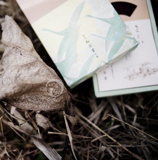 New works Melon Mew Smell Matsung Hall Matsu Soft Soft and calm and quiet smoke