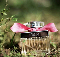 Spot Chloe fans with Roses De Chloe fresh pink rose 30 50 75ml