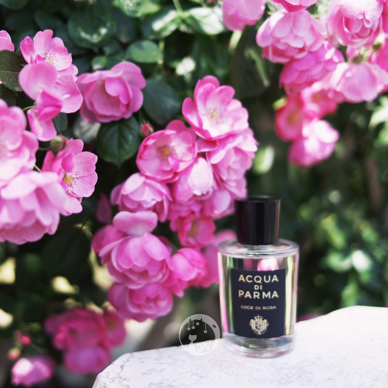 Special Offer in Stock: Acqua Di Parma Rose of Light 100ml Full Size, Style Collection, Fresh and High-End Special Offer in Stock: Acqua Di Parma Rose of Light 100ml Full Size, Style Collection, Fresh and High-End