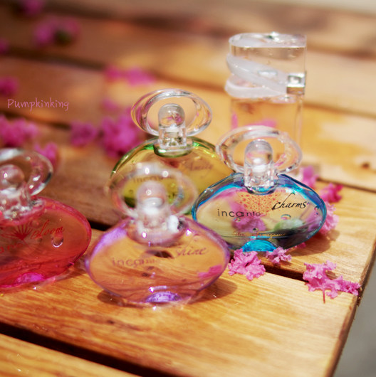 Q edition collection Filagmug butterfly memory blossoms in dreams Rainbow sweetheart Magic Midsummer Night Fife is unusual