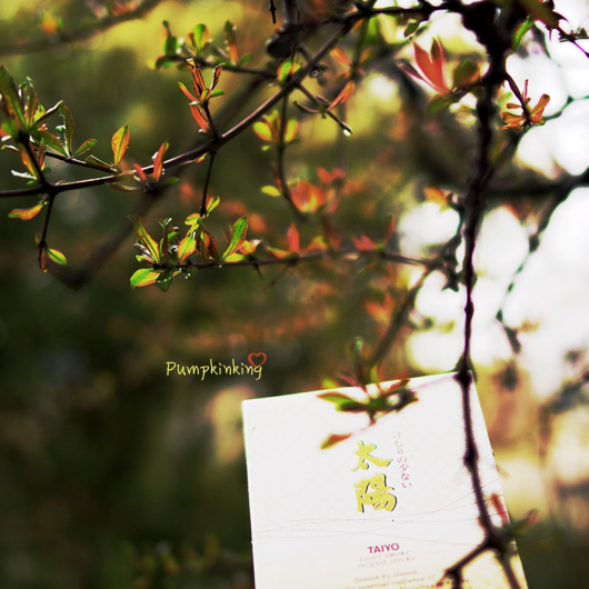 The whole box of melon meow incense Cinnamon sun osmanthus fragrance smoke-free