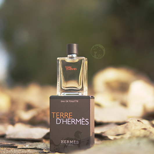 Q Edition Collection Portable Love Marsee Earth Terre dHermes Pale Aroma Classic two-in-one