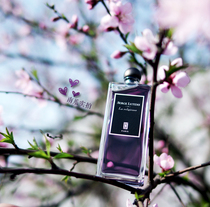 Spot Ludans Serge lutens La Religieuse nun 50ml 100ml