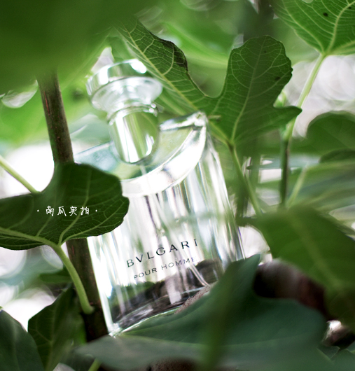 King of Melon Bvlgari Darjeeling Tea Original Fresh 30 50 100ml