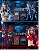 Pick up WAR STORY TOYS 1 6 Empire women commando commando WS015 movable soldier