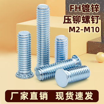 Fh environmentally friendly galvanized pressure plate press rivet screw manufacturer direct sales