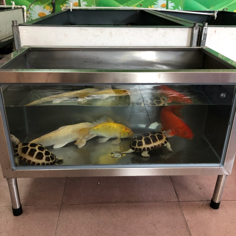 304 stainless steel glass living room balcony home large fish tank tortoise cylinder plus filter tank goldfish brocade carp pool