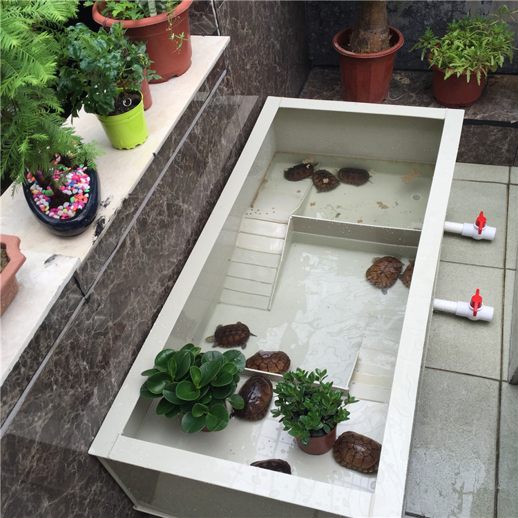 Turtle pond breeding box household large tortoise young turtle with Sun table feeding area turtle box turtle box South Stone turtle grass turtle grass turtle