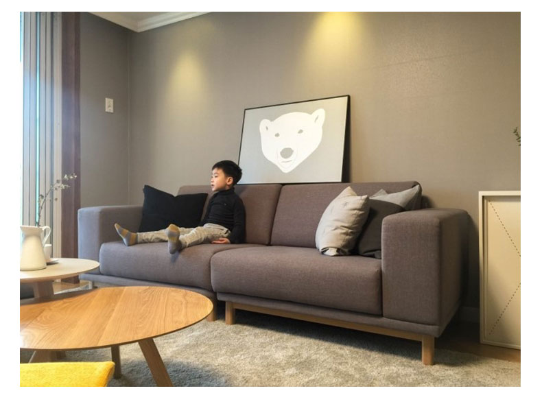 Màu sắc tuyệt vời nhà gỗ Bắc Âu sofa vải căn hộ nhỏ phòng khách nội thất đơn giản hiện đại Nhật Bản kết hợp ba người - Ghế sô pha ghế sofa gấp thành giường