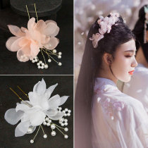 Studio photo performance modeling head flower accessories Ancient costume beautiful wedding hair accessories Ancient Hanfu kimono skirt Hair cactus headdress