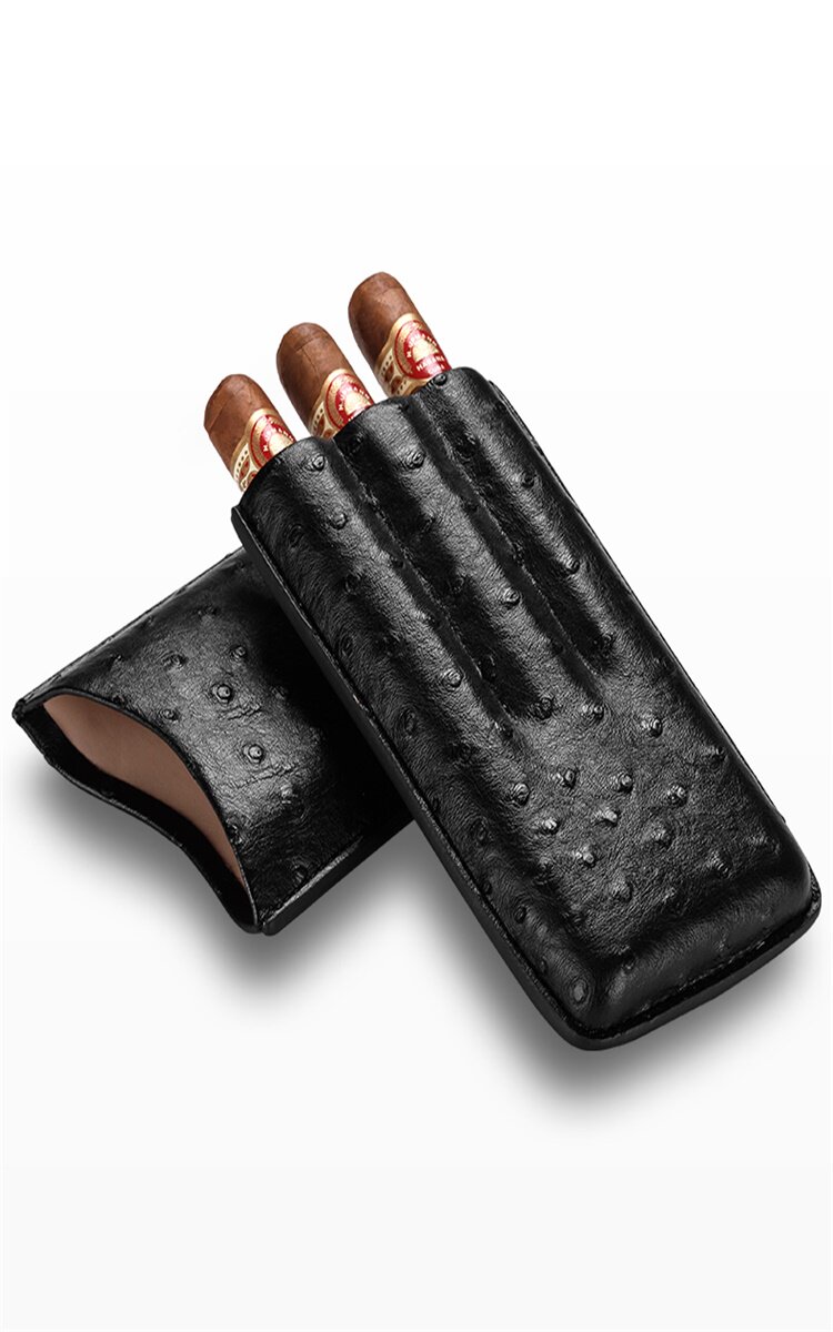 Сигар установил данные page_21.jpg