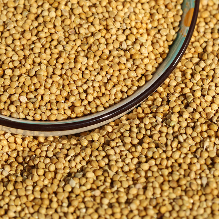 [USD 5.99] Northeast A-class Yellow Valley millet with shell millet 23 ...
