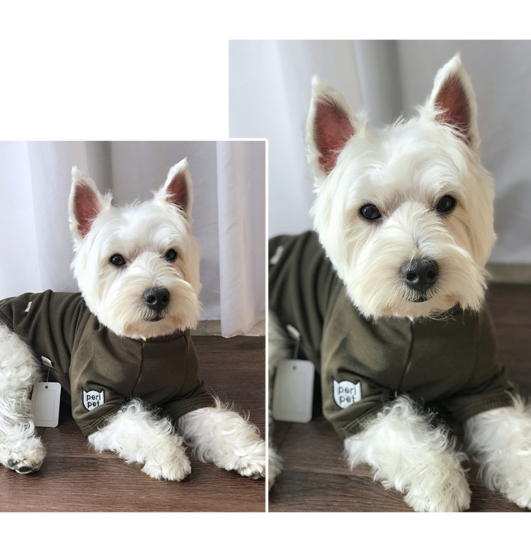 Quần áo màu đỏ chó Giáng sinh quần áo cỡ trung và mùa đông quần áo mỏng phần Teddy quần áo năm mới hai chân - Quần áo & phụ kiện thú cưng mèo mặc áo