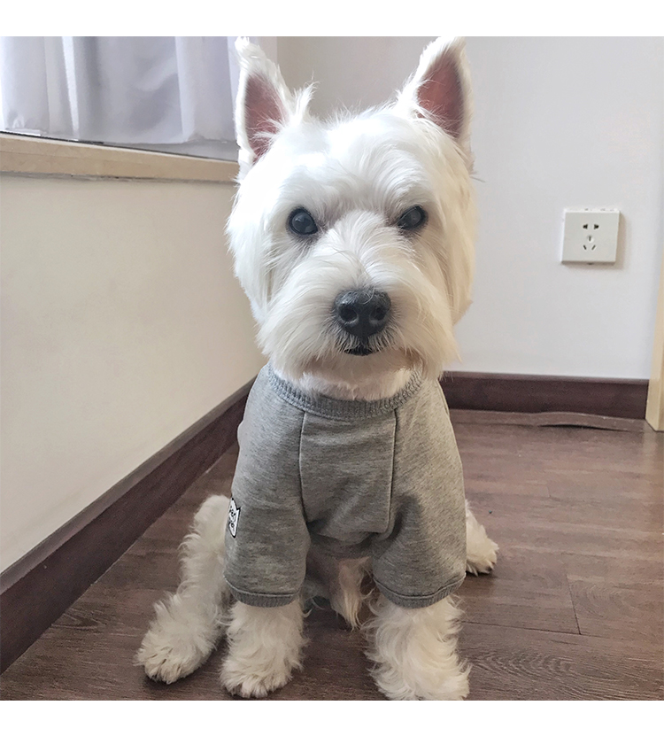 Quần áo màu đỏ chó Giáng sinh quần áo cỡ trung và mùa đông quần áo mỏng phần Teddy quần áo năm mới hai chân - Quần áo & phụ kiện thú cưng mèo mặc áo
