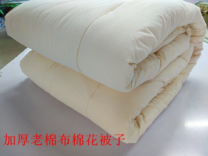 Cotton Quilt, Winter Quilt, All-Cotton Thickened Warm Quilt Core, Pure Cotton Single Quilt, Student Quilt, Warm Bedding