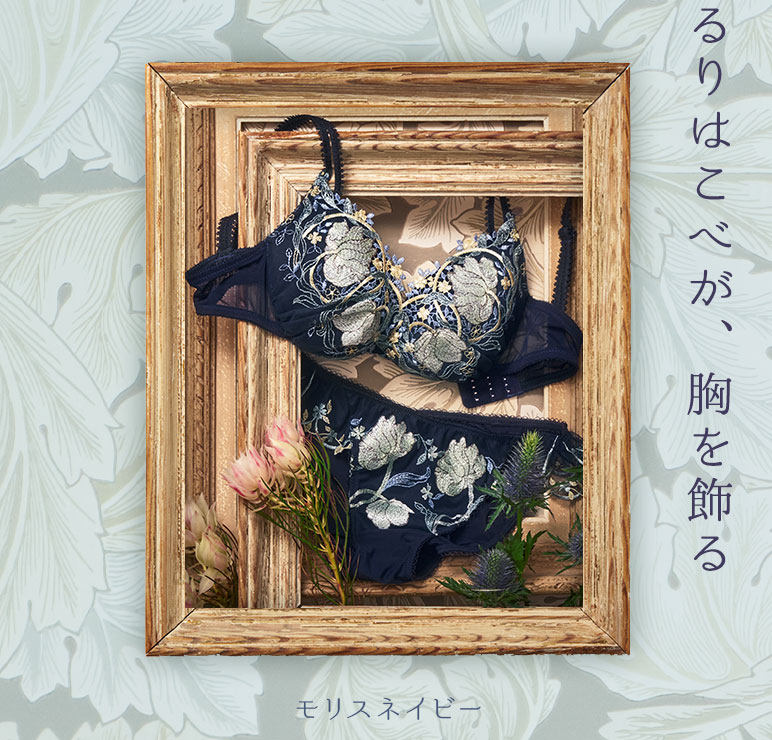  Japanese native PEACH JOHN HONEYPEACH MASTER'S WORK ART PAINTINGS UNDERWEAR BRA 392