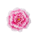 Рука с цветочным моделированием пион цветок танце