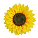 Моделирование цветов в руке, подсолнечные реквизиты, танцевальные реквизиты, игры в детском саду, церемония открытия солнечного цветка