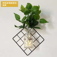 Зеленое симуляция, зеленая сплошная стена