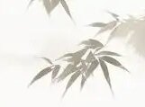 春秋钓具的LOGO