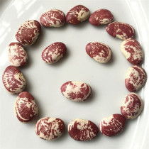 Catalog of books Floor steel bar Classic New kidney bean Self-growing Zebra bean Flower bean God bean Poached bean Big red bean Emperor