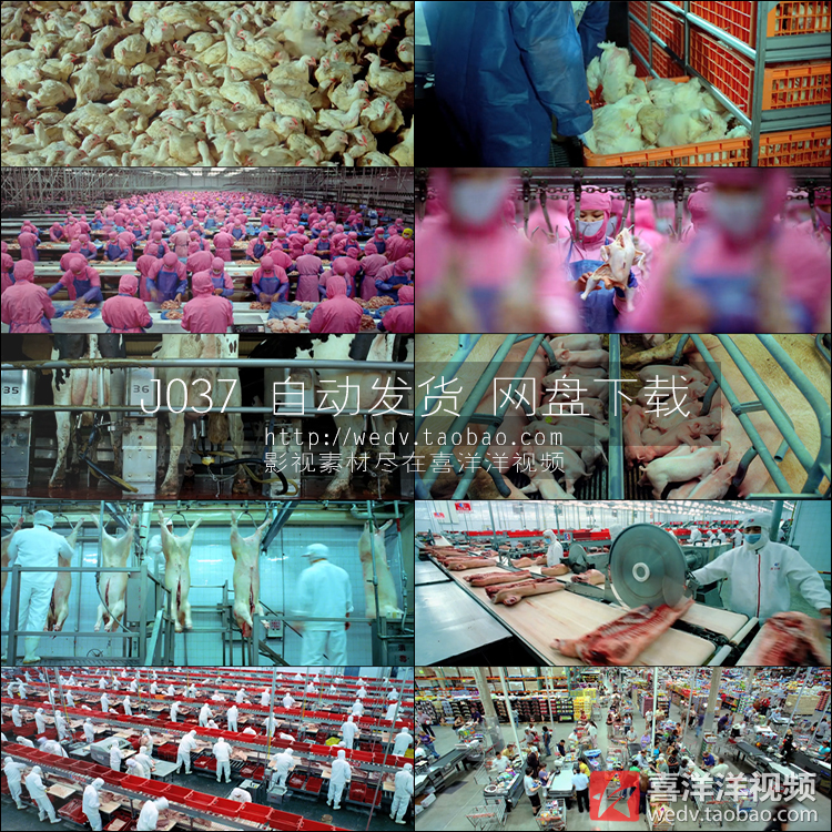 J037Ñø¼¦³¡ÍÀÔ×ÄÌÅ£¼·Ä̼¦ÈâÖíÈâʳƷ¼Ó¹¤³§Á÷Ë®Ïß³¬ÊÐÊÓÆµËزÄ